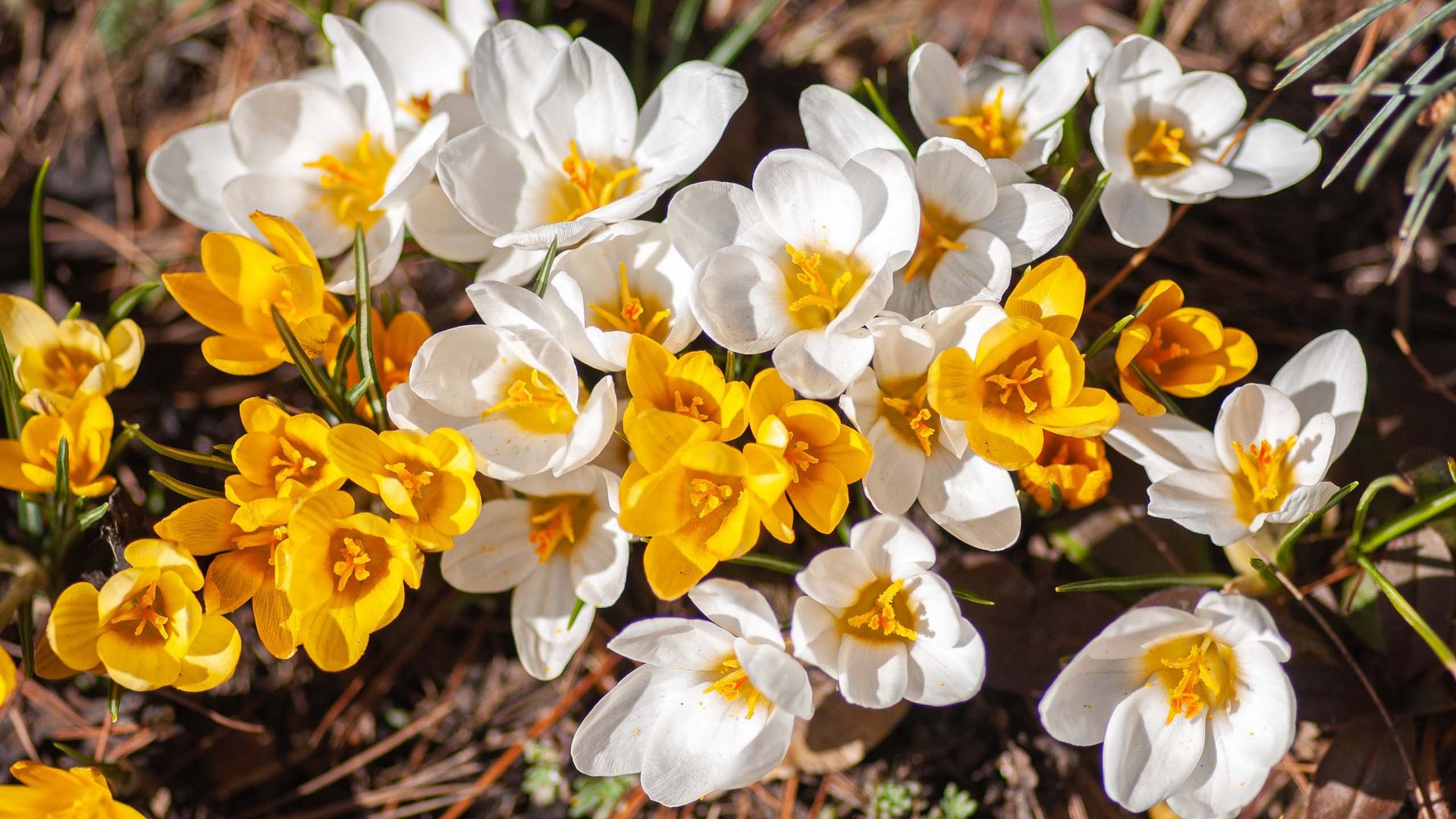 Der Nationalpark Cilento: UNESCO Welterbe Der Nationalpark Cilento: UNESCO Welterbe