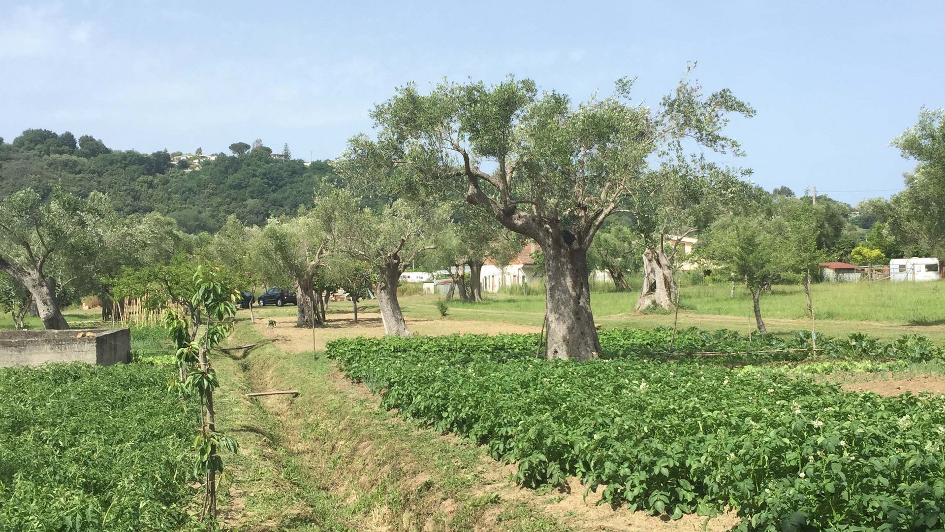 Cilento: Hotel mit Hof Cilento: Hotel mit Hof