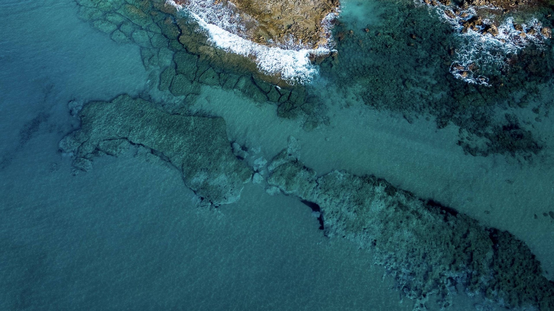 Meer trifft auf Blumenmeer Meer trifft auf Blumenmeer